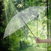 878_투명 우산 8개