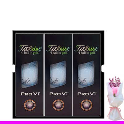 타이틀리스트 pro v1 9구세트 (3pc)