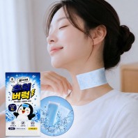 앗차거 아이스 냉감 쿨링 쿨패치 2매입 K2696